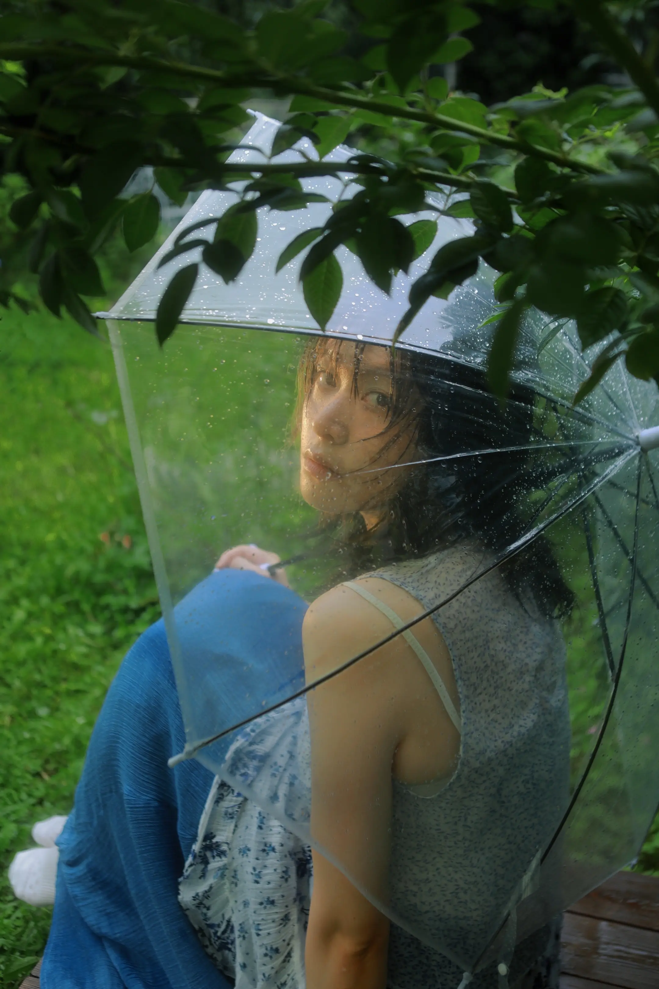 雨季不再来。