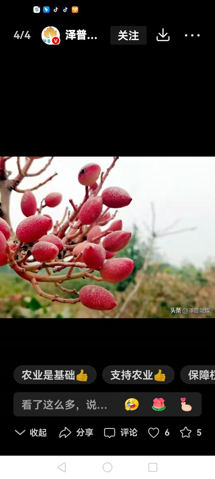 国家的18亿亩耕地面积是怎么算的从今年开始，全国的土地面积又要增加不少，我在新疆