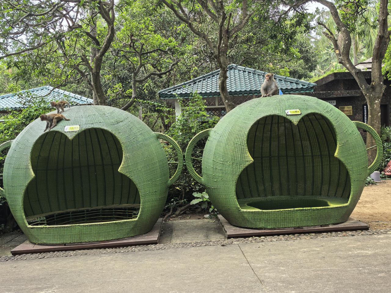 从来没有成功过。
我是个贪心的女人。
看见别人拿到后，
我就一次次的试。
求朋友