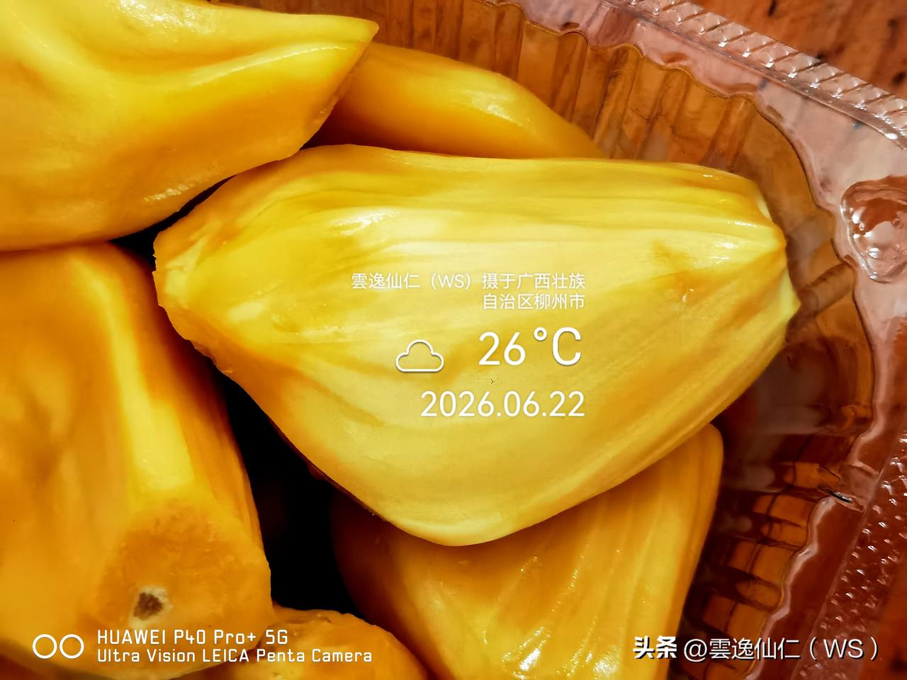 月居生活记录（9974）广西壮族自治区柳州市（11）品尝小吃4：菠萝蜜（5元1盒