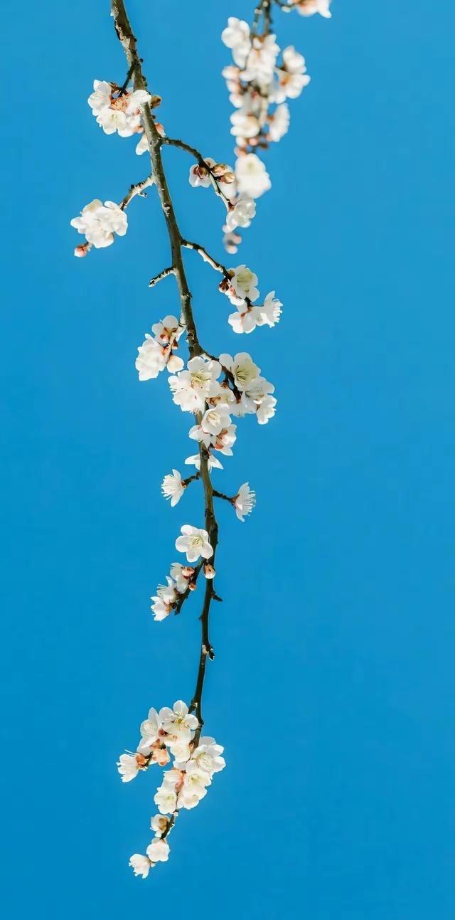 经济学家说：“两年内先不要碰房子，只要你还有地方住，就不要关注房子，那些特别有钱