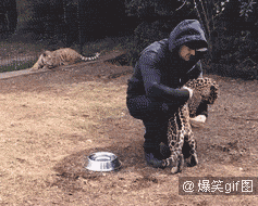 嘿嘿嘿
我只是复习一下狩猎动作嘛