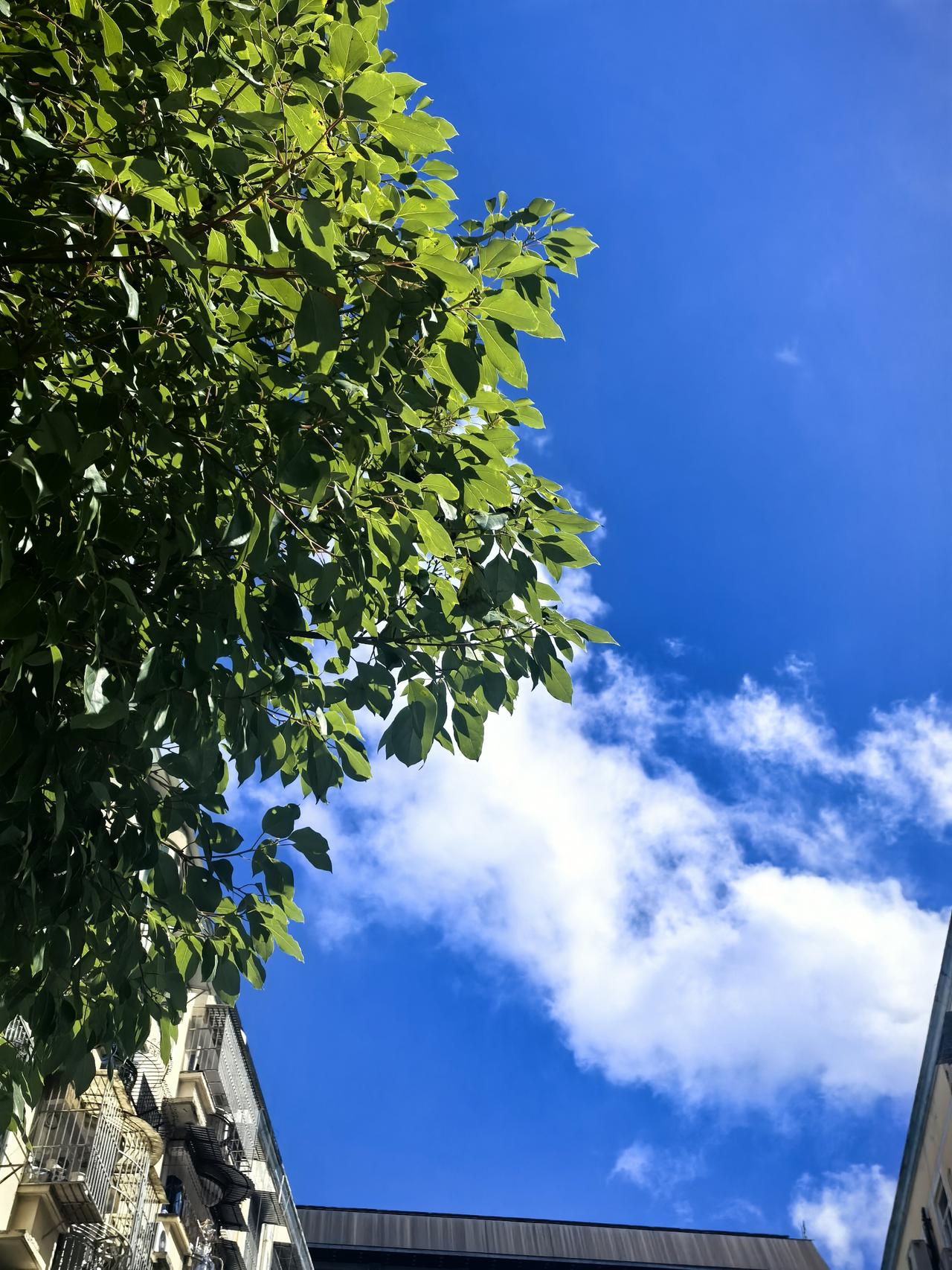 晒图笔记大赛刚有那么点秋高气爽的氛围，天气好像又想阴了！赶紧留下美好画面，分享一