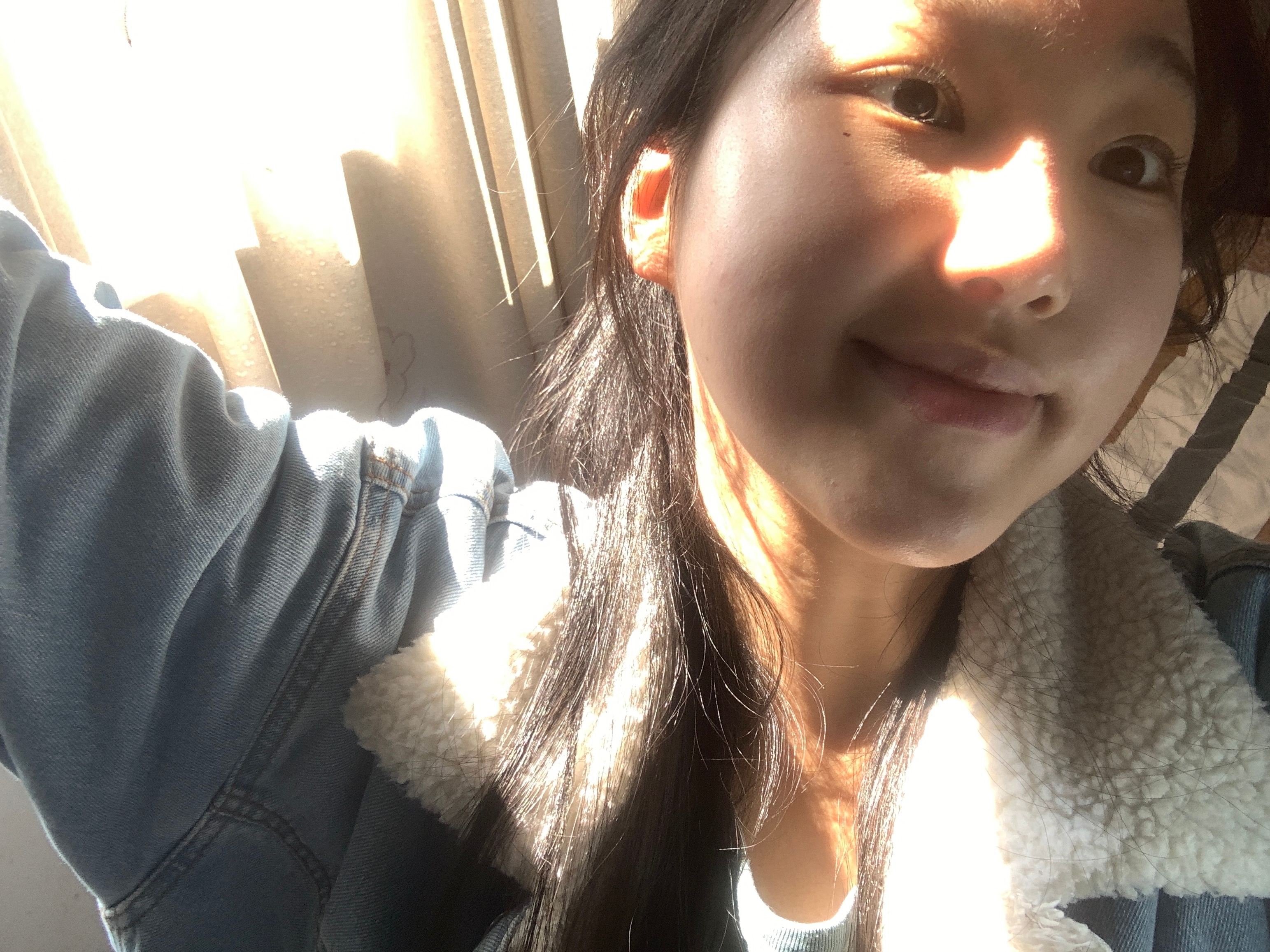 光合作用✨ ​​​