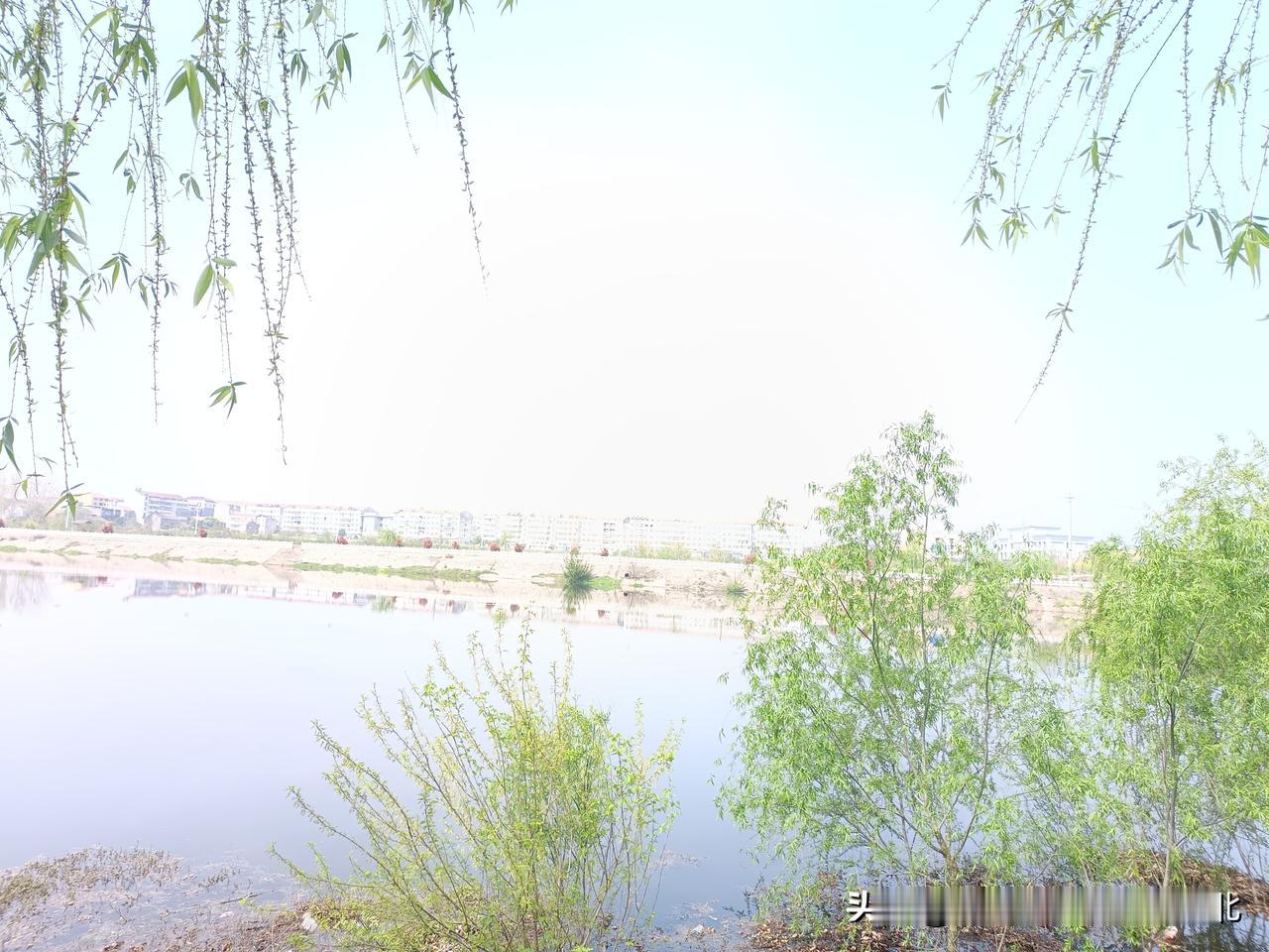 高油价（2026年布伦特原油逼近120美元/桶）已不是简单的供需波动，而是重塑全