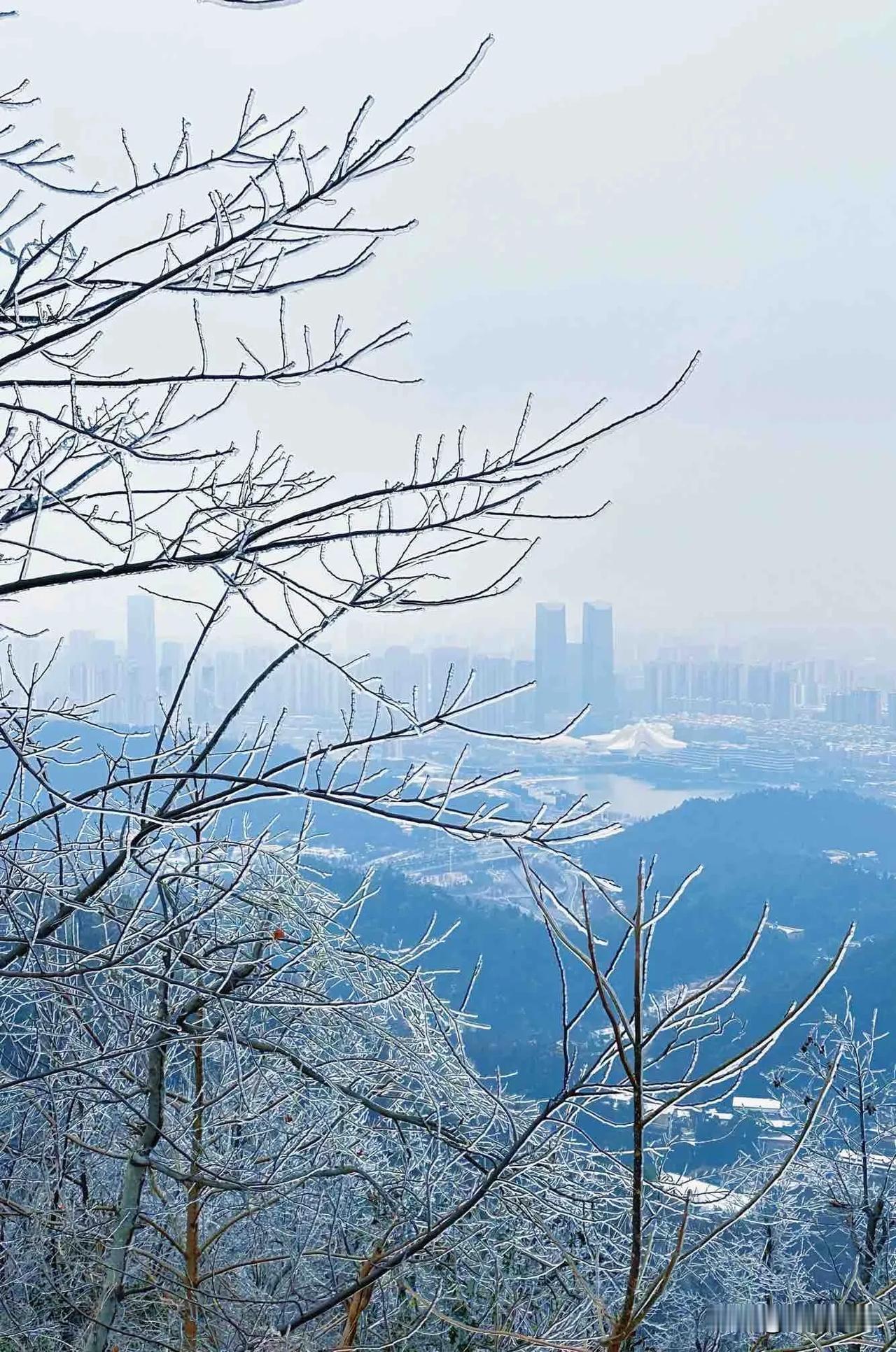 有些黄昏，不想去追赶
不听尘音，不计喧嚣
只是悠悠踱步，一个人发呆
然后沉醉在夕