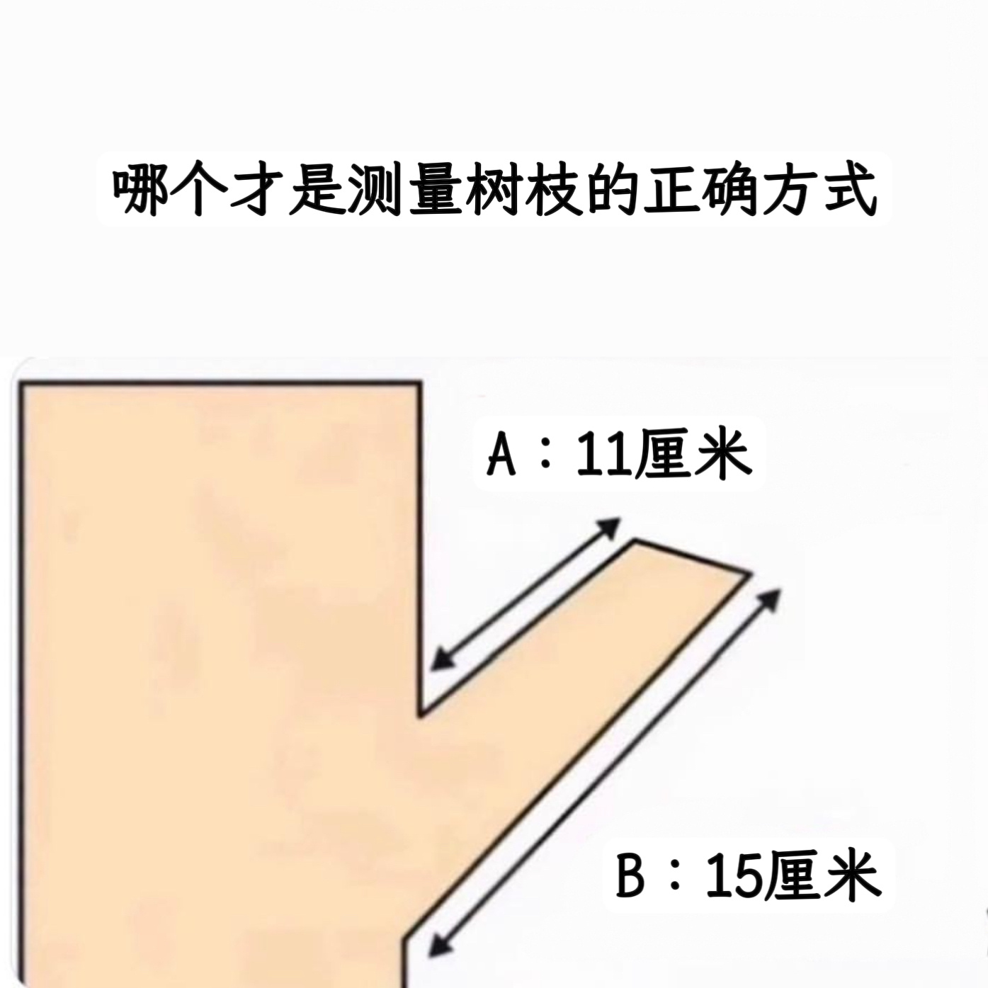 取长memes ​​​