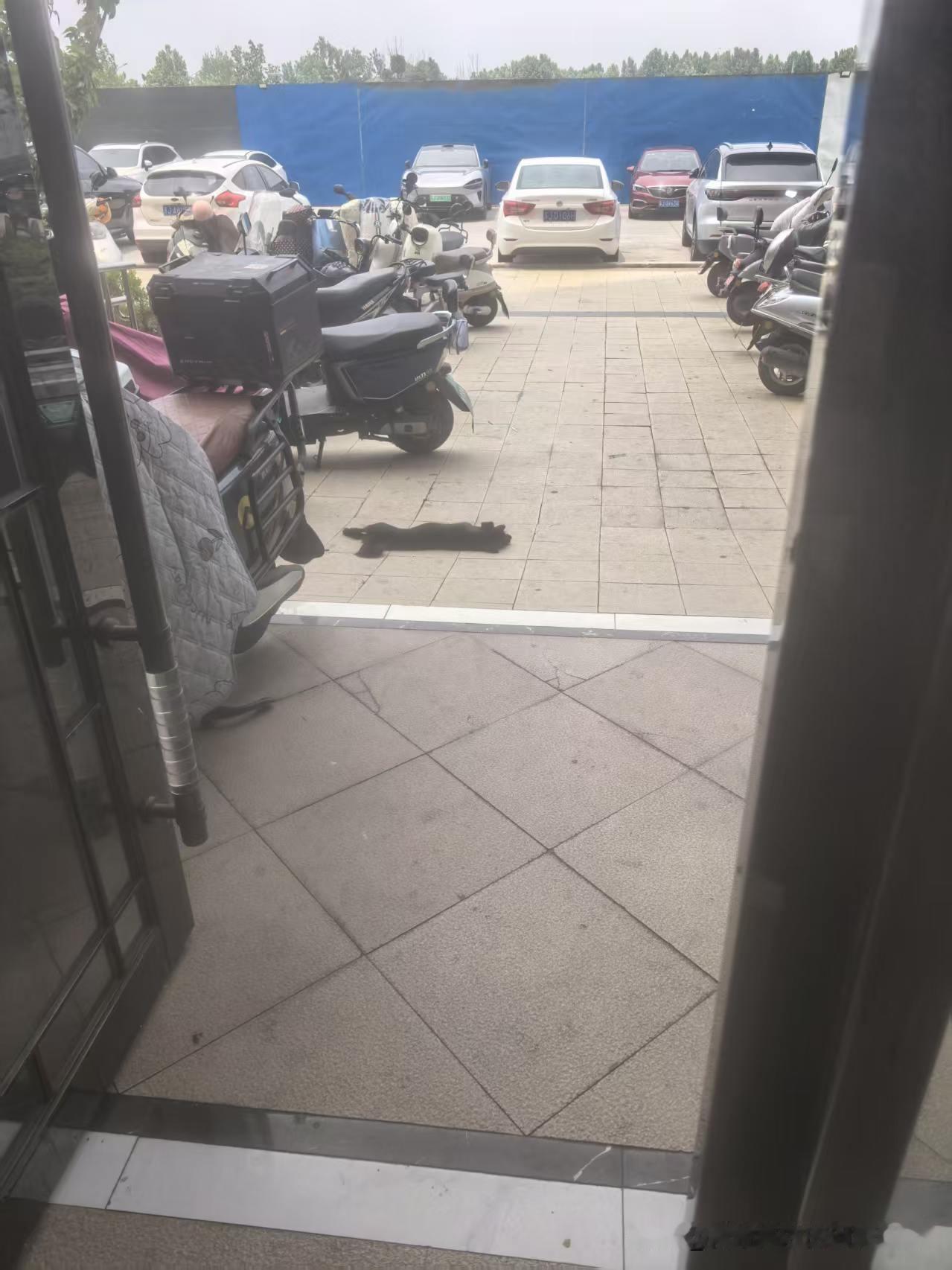 今天是金碧物业走后的第241天，大明物业的第149天。

今天有业主提出让物业把