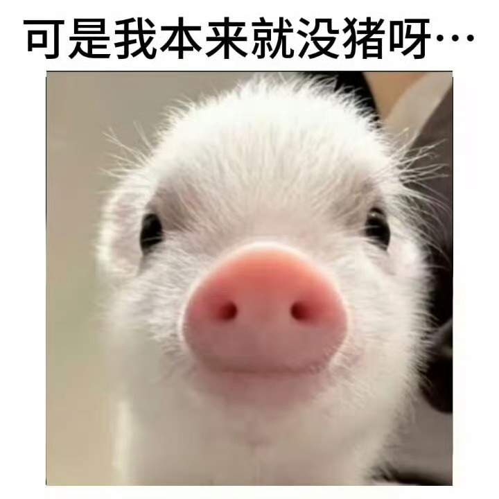 易坦子融花 