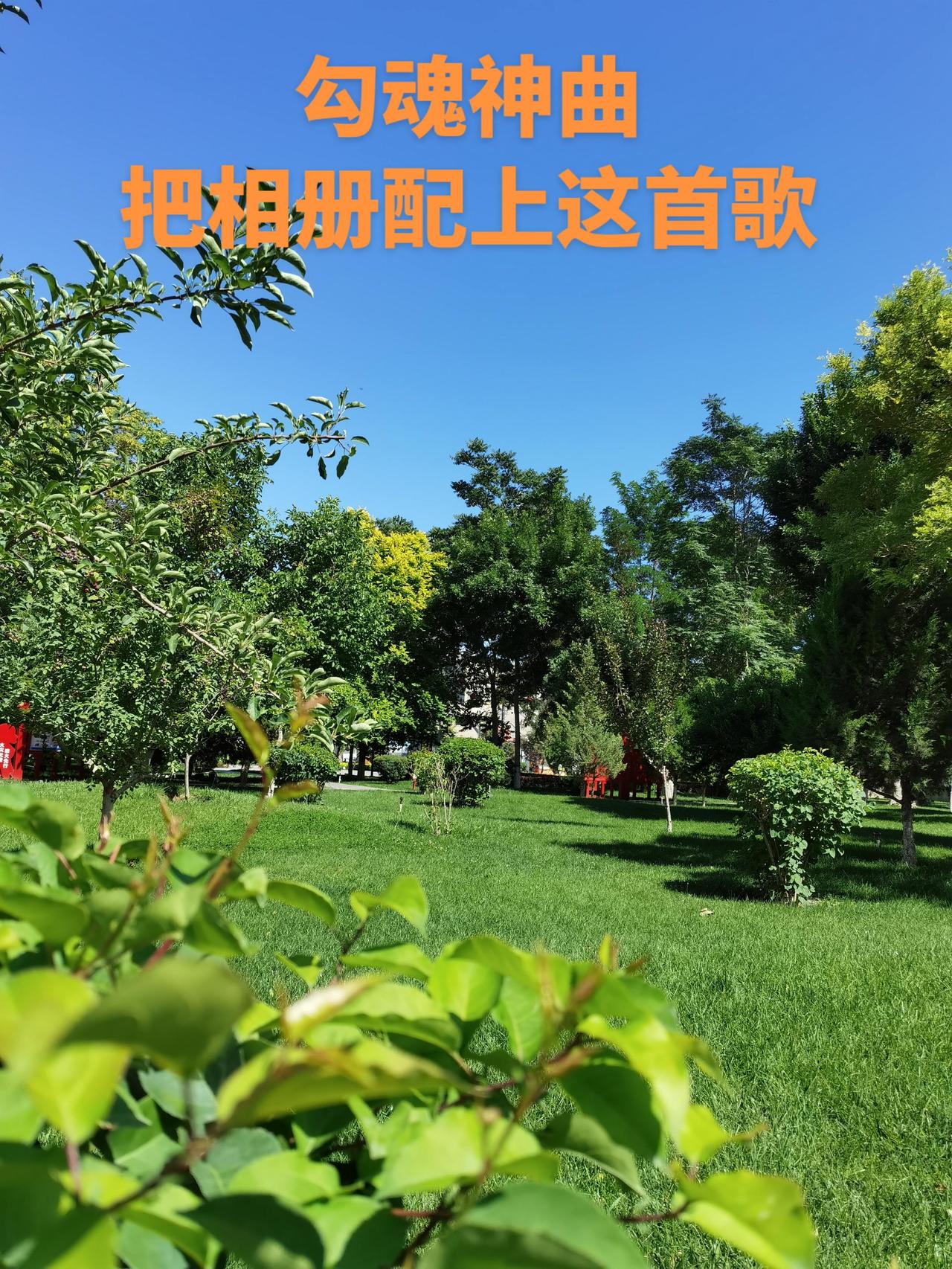 记录身边的美好 我的城市由我拍