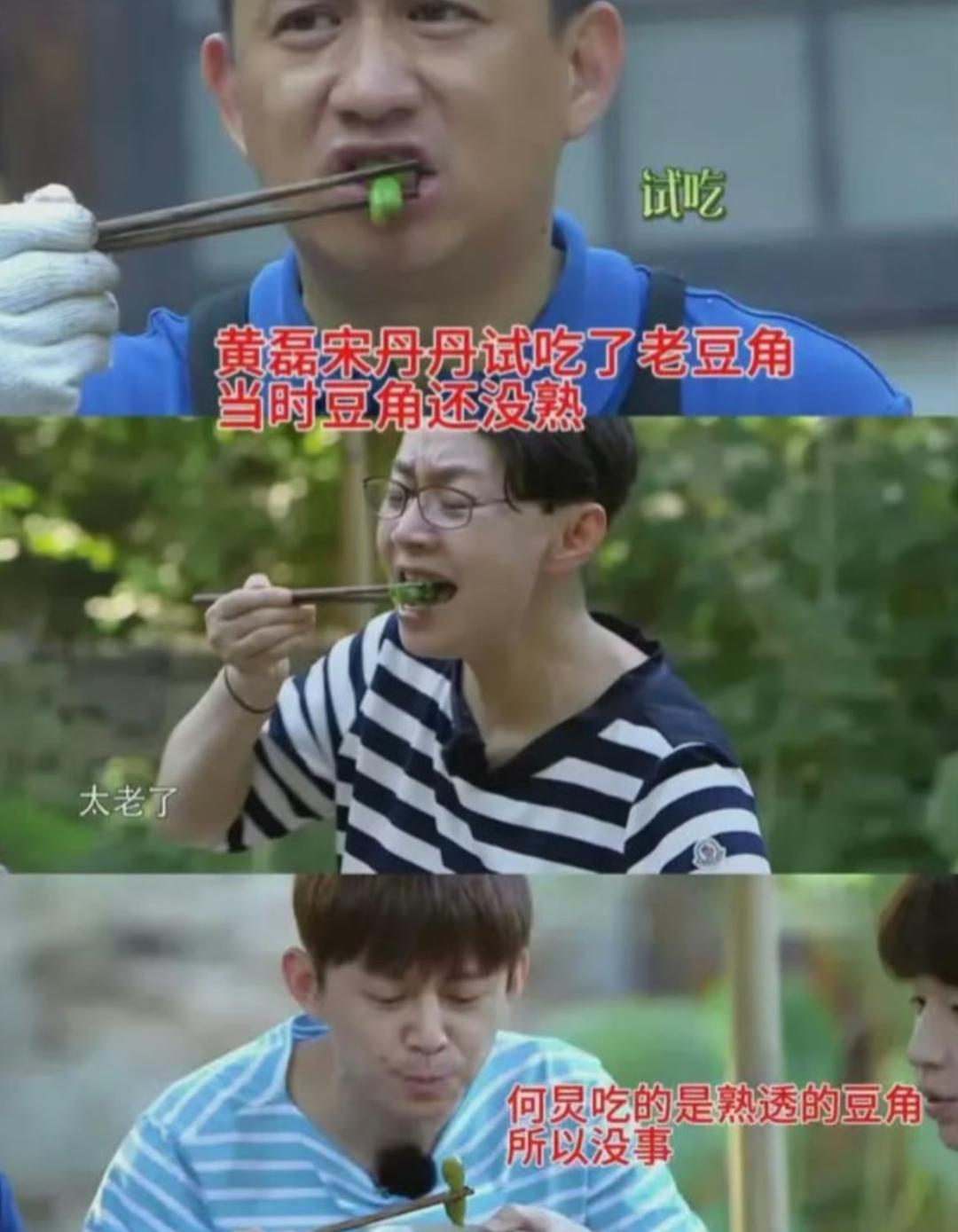 黄磊靠长期吃药活着？

新一期的《向往的生活》播出了，这次来做客的嘉宾是刚拿了影