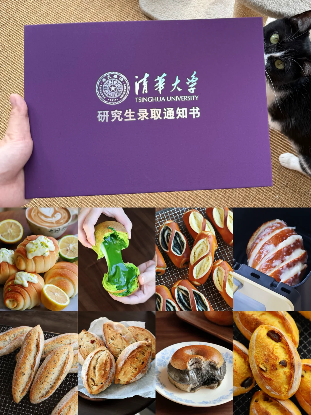 💜做面包暂停｜让我先发一下我的录取通知书