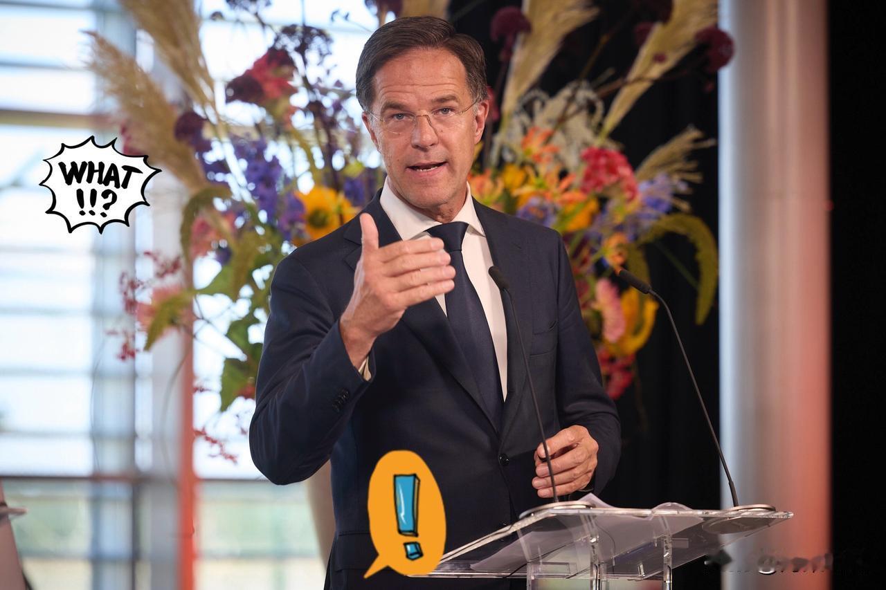 就在刚刚 
荷兰突然宣布了！ 
这回重点不在谁给它撑腰，而是它手里握着光刻机这个