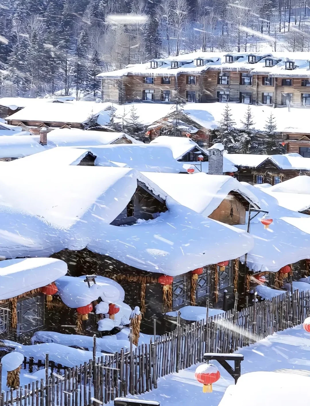 📍雪乡｜不踩坑攻略‼一定要去一次❤