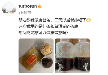 孙俪问到我的知识盲区了 孙俪晒自己做的康普茶，还问大家乌龙茶能做康普茶吗~好家伙