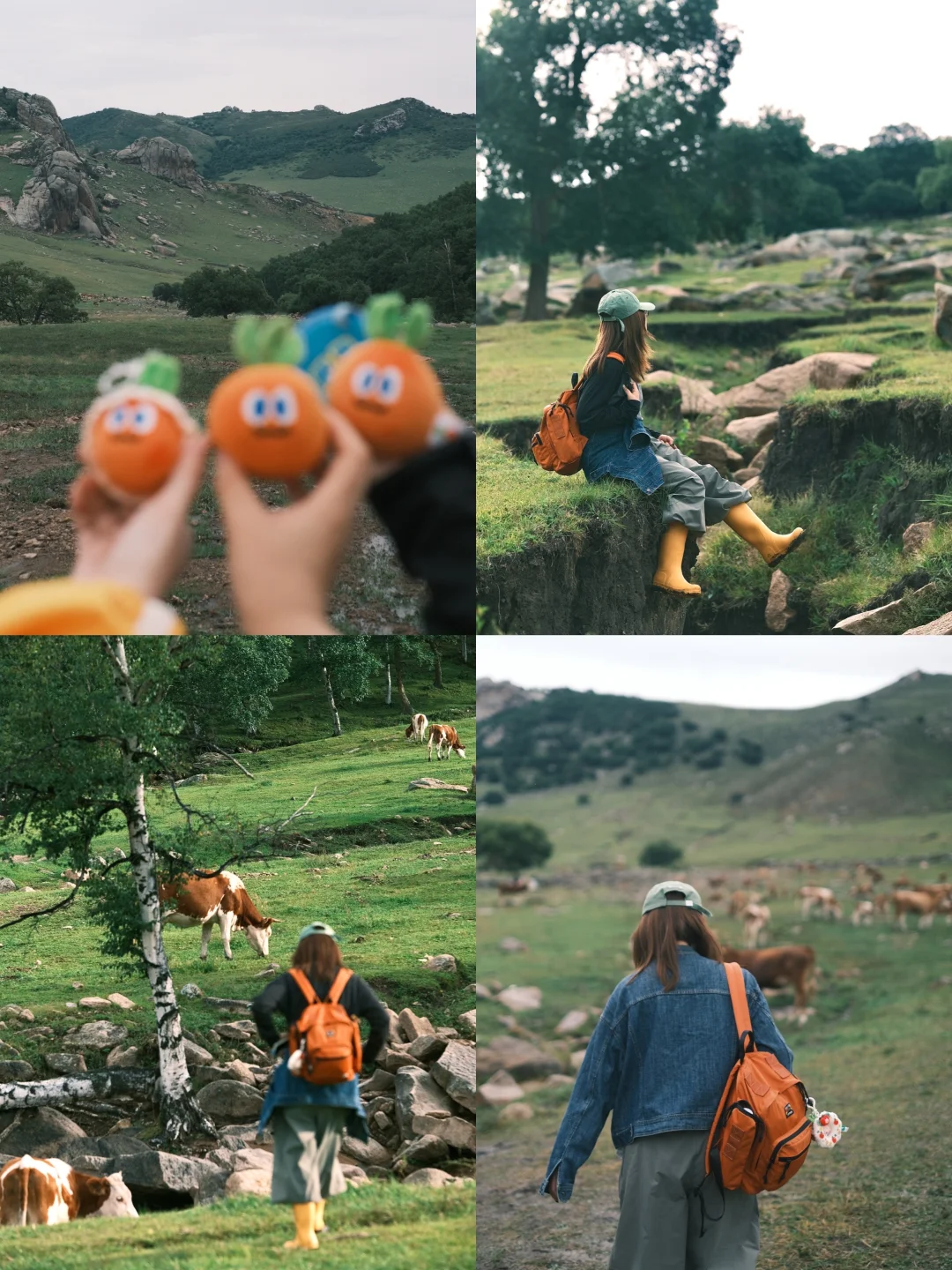 如果不是五月天 内蒙古真的太远了🥕