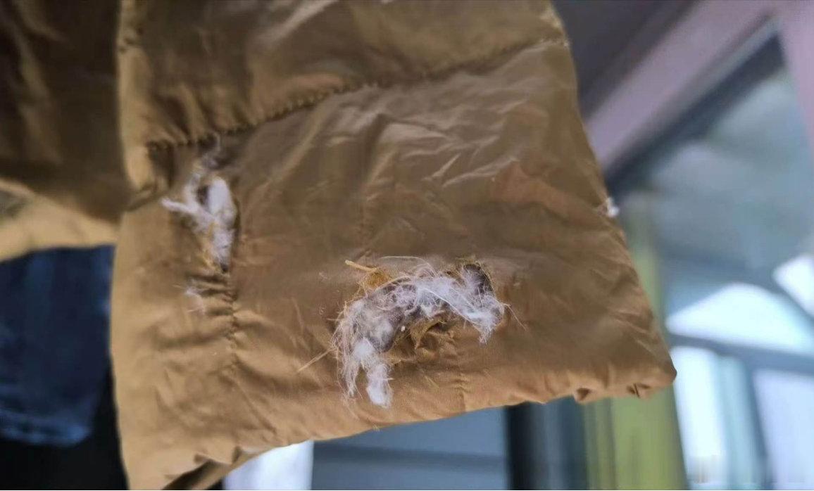 今天跟一群小学生讲《小红马》，我介绍了一下作者斯坦贝克，我说他曾跟着迁徒的流民住