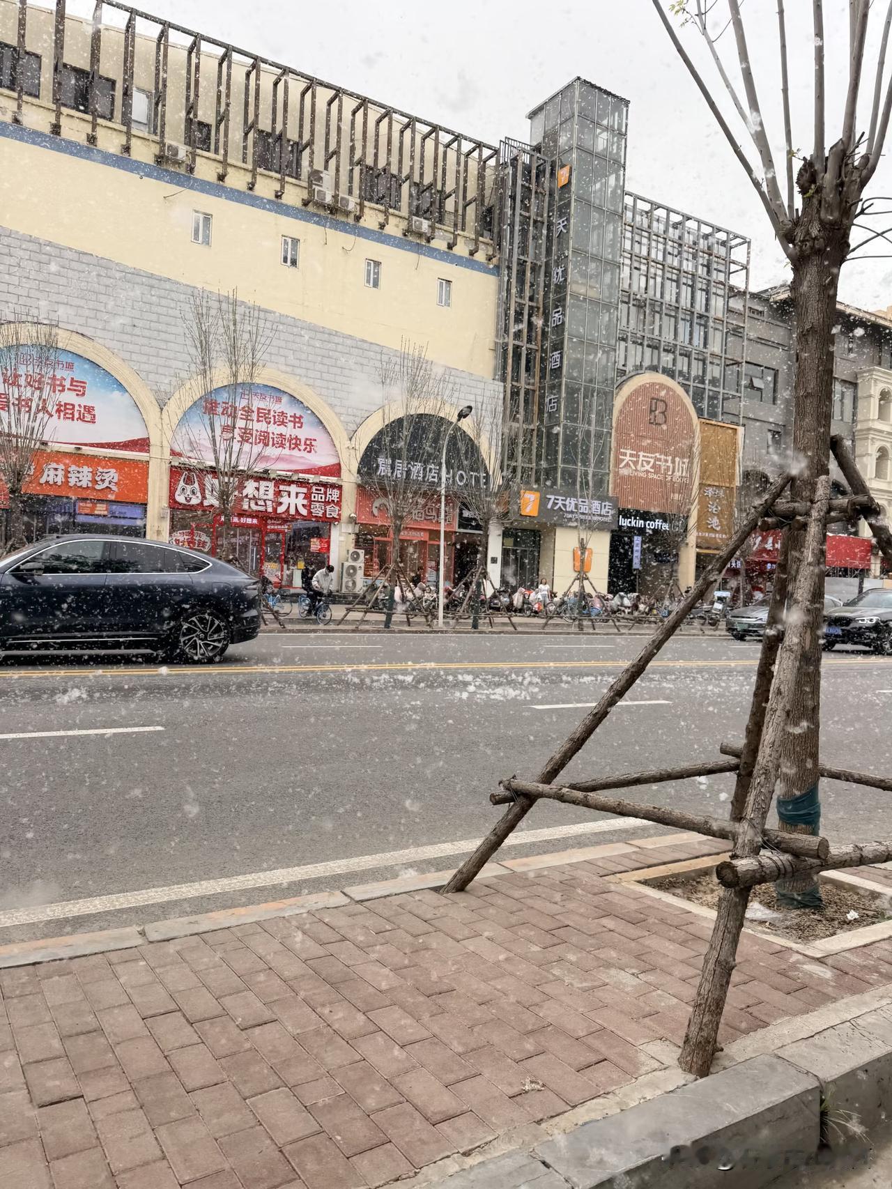 总有人说，石家庄的浪漫，藏得低调又温柔，而最动人的那一份，全在春天的漫天飞絮里。