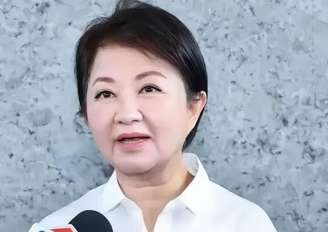 台中市长卢秀燕6月29日令人惊讶地表示，“国民党团要提出无人机的条例，我建议的金