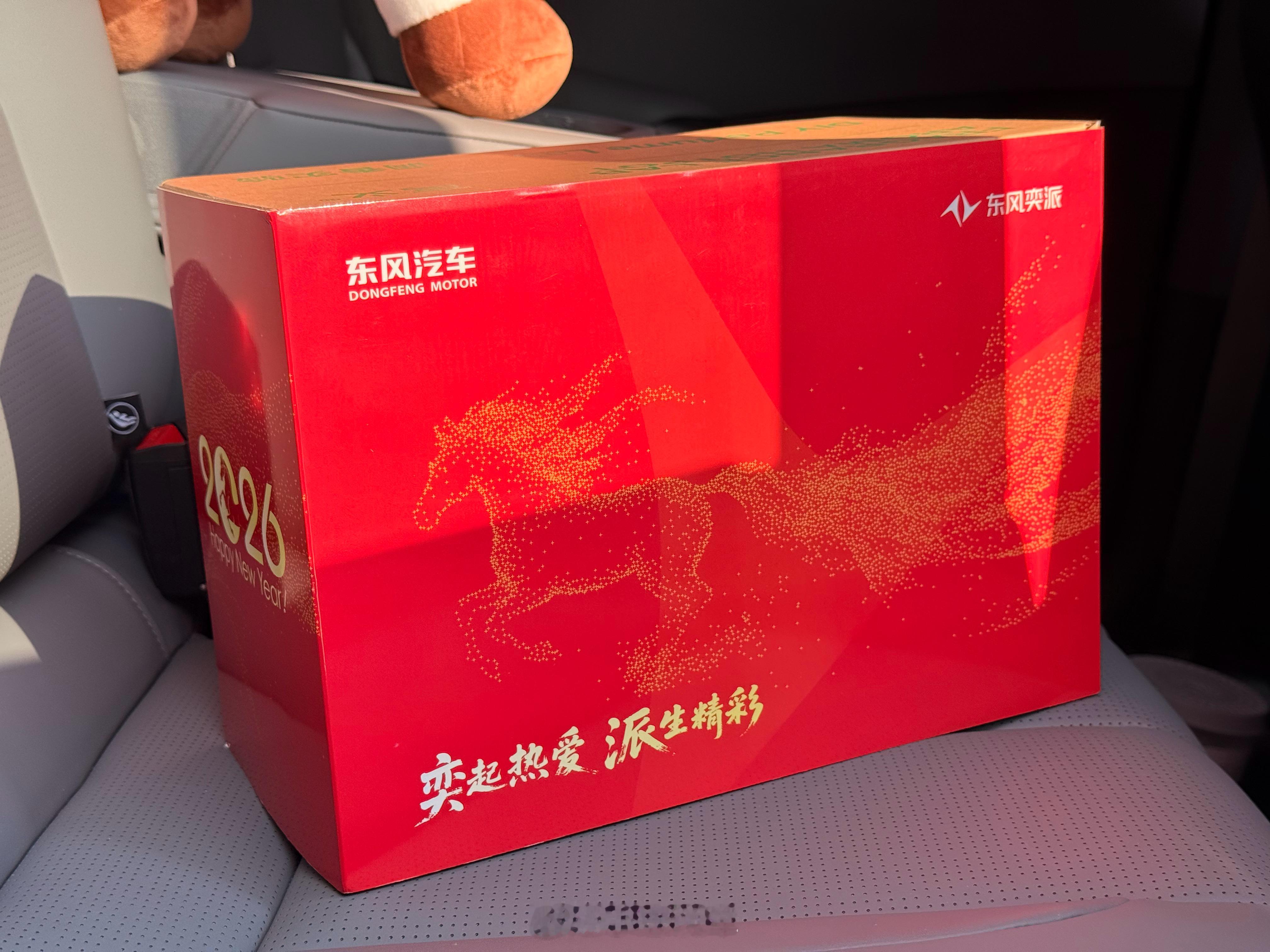 收到东风奕派纳米06车主新车礼盒🎁挺有意思～我以为是火锅🍲可又不是火锅～第一