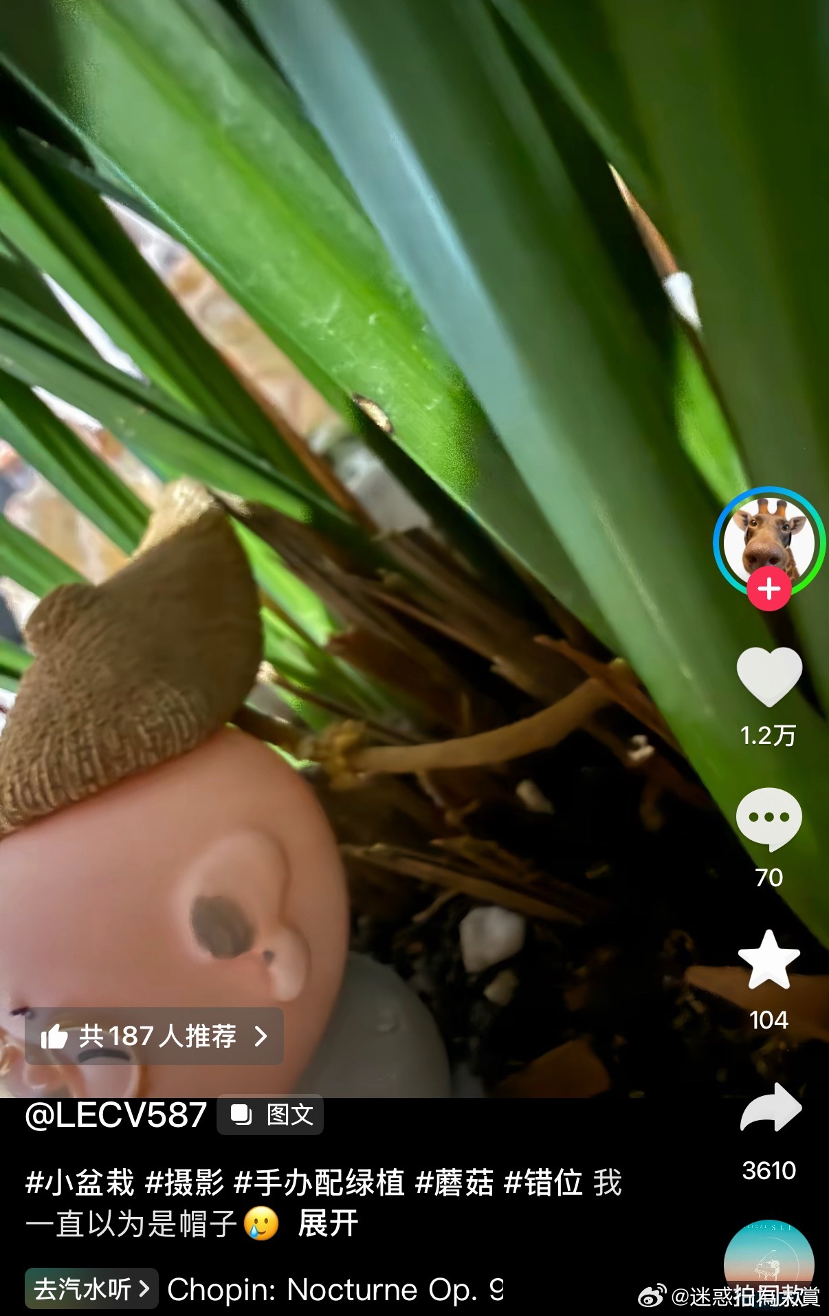 太像了吧 
