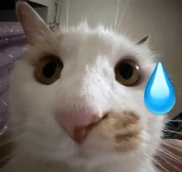 可惜爷爷已经不能说话了