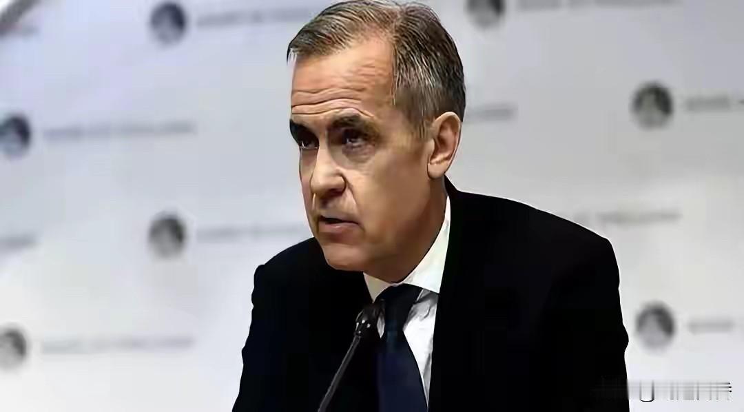 美国第51州加拿大的州长厚着脸皮要来中国谈油菜籽的事，难道忘了加拿大对中国新能源