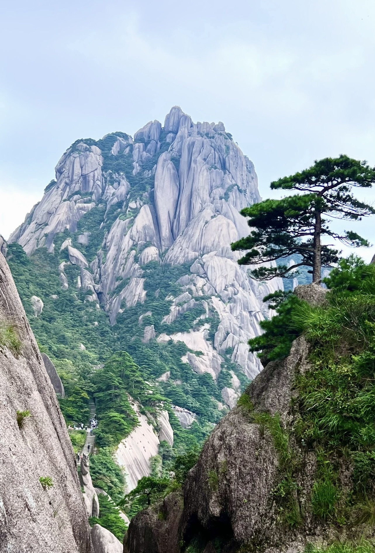 我见青山多妩媚，料青山见我应如是。 