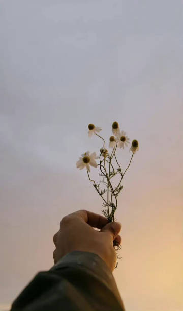 人与人之间，若灵魂不能共振，交流不能同频，仅仅只是浅浅的遇见，终究会成为陌路。我