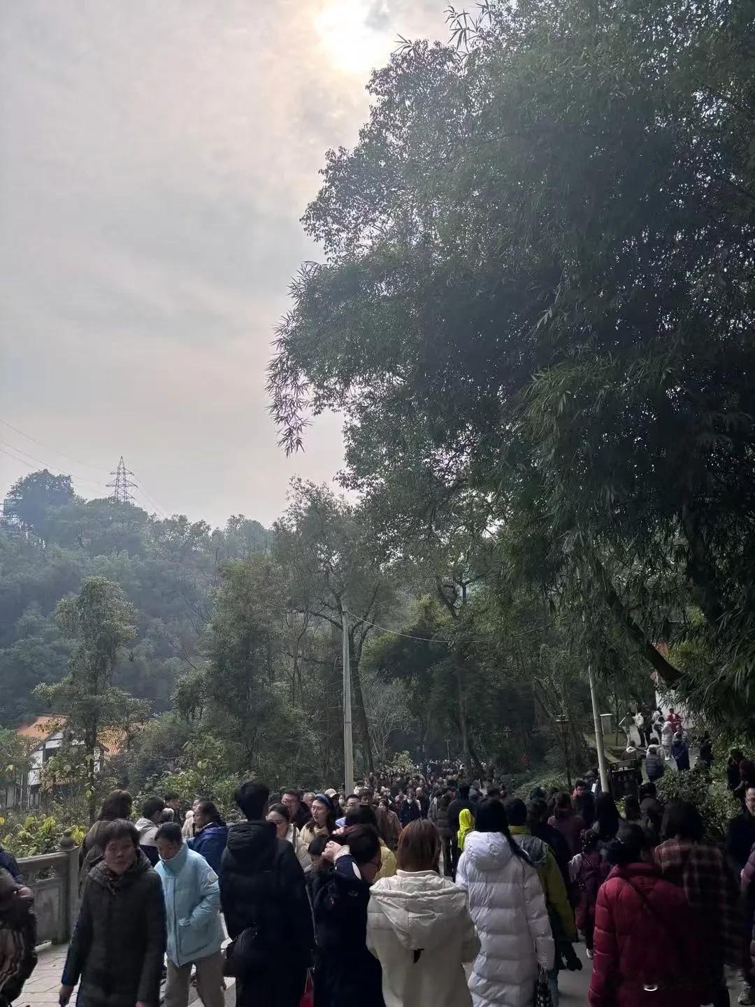 春节期间的重庆华岩寺，游人如织！从大年初一开始，九龙坡华岩寺，每天都人头攒动。