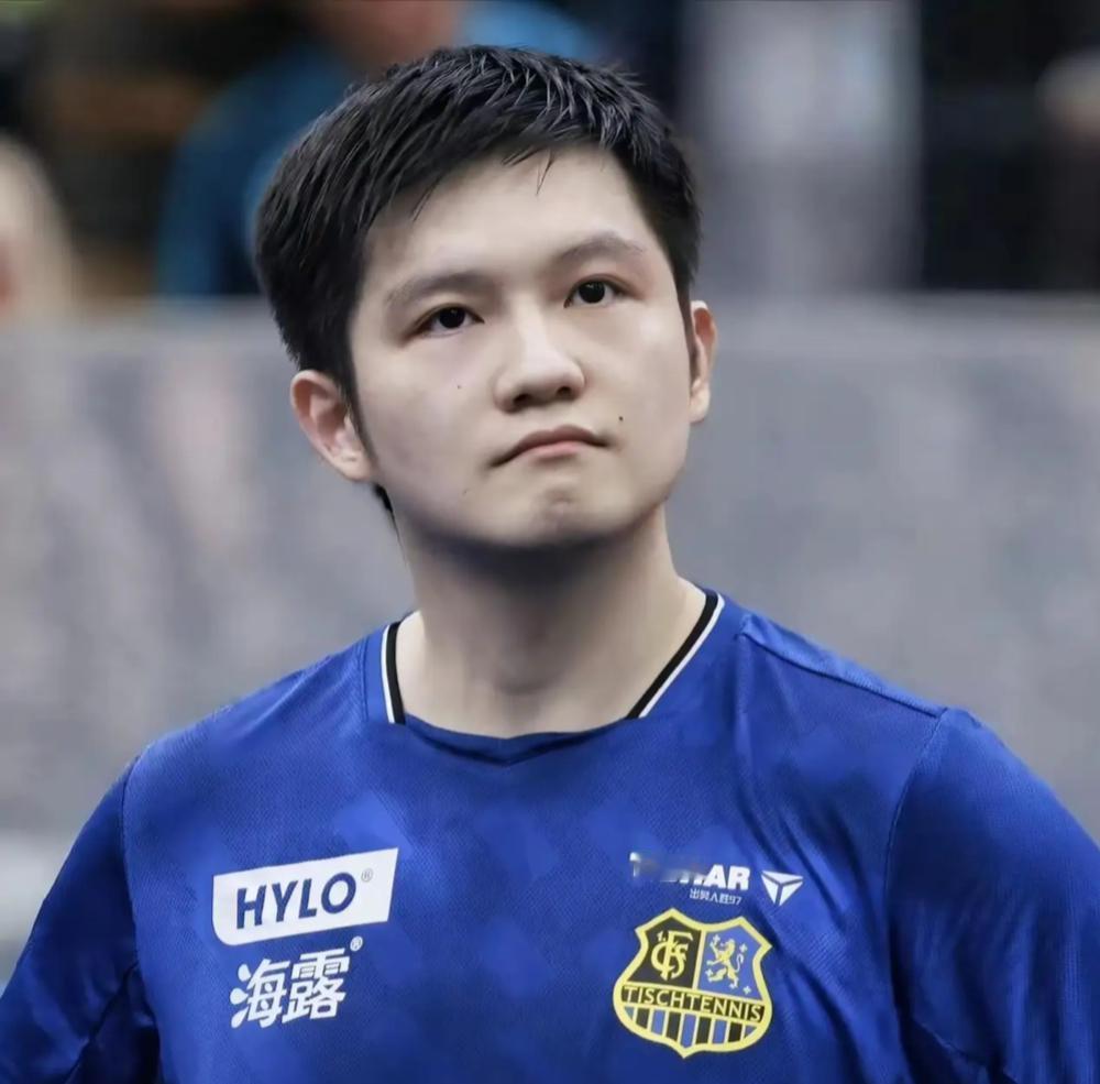 樊振东在德甲告别现场用英文致辞，最打动人心的不是流利口语，而是那句真诚告白：今夜