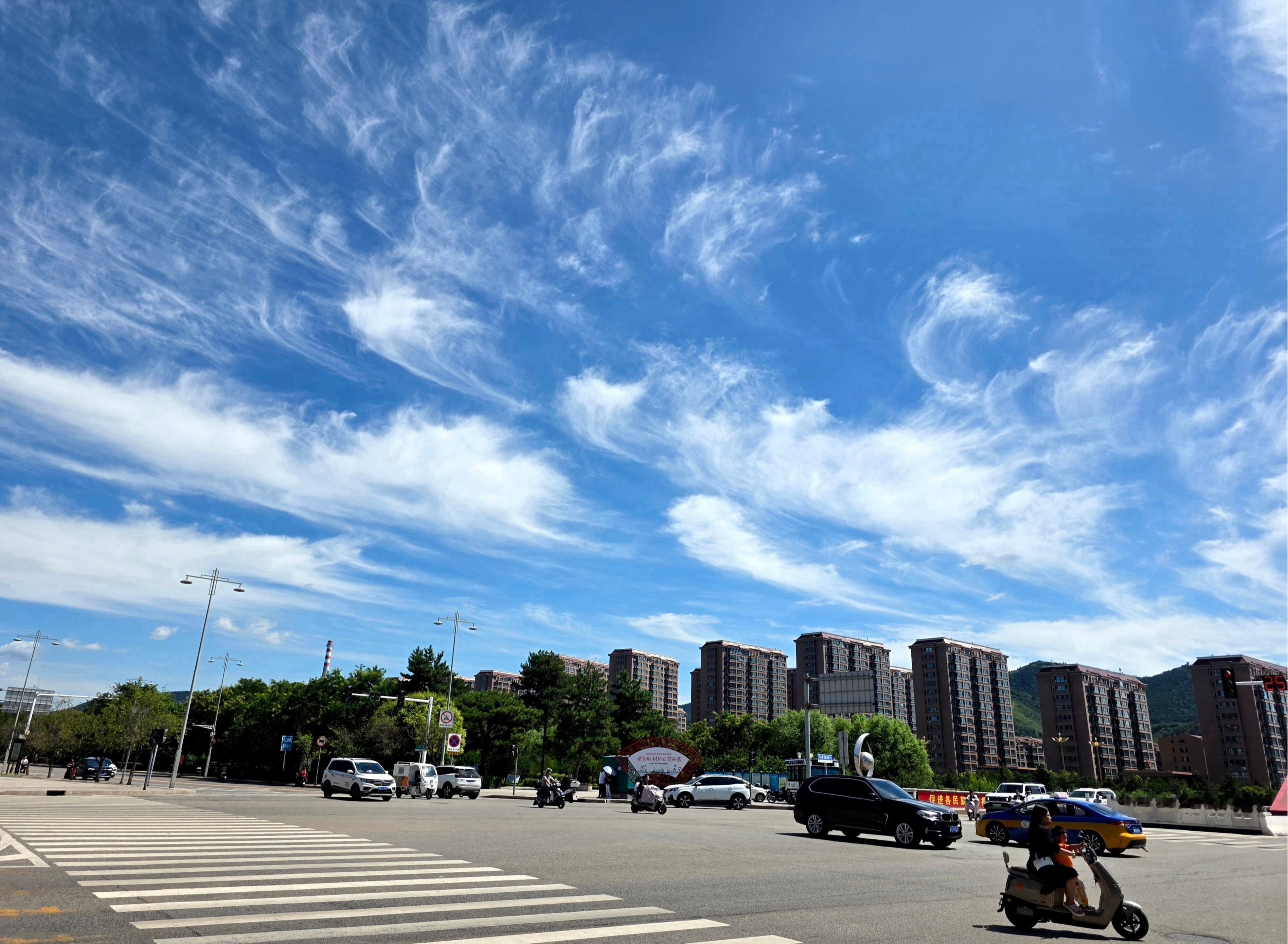 卷毛云 ​​​