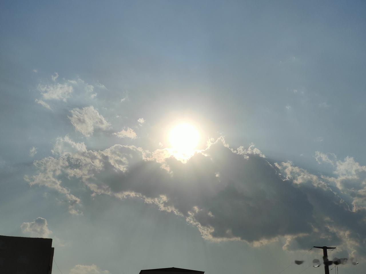 晒图笔记大赛随着夏至的临近，温度越来越高，玉米苗期管理，进入最关键的时期，不仅要