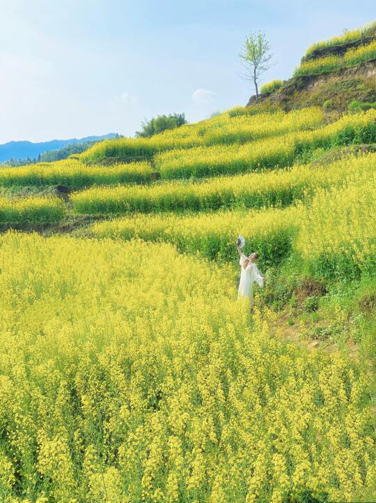 春天的篁岭美的太离谱了❗附2天1夜赏花攻略