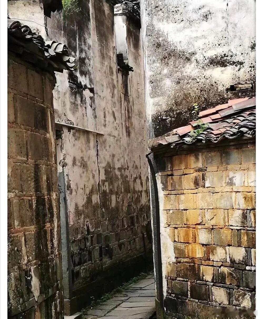 多给柴荣10年，干古一帝非他莫属！ 柴荣当皇帝5年半，整顿军队、改革内政，整顿伪