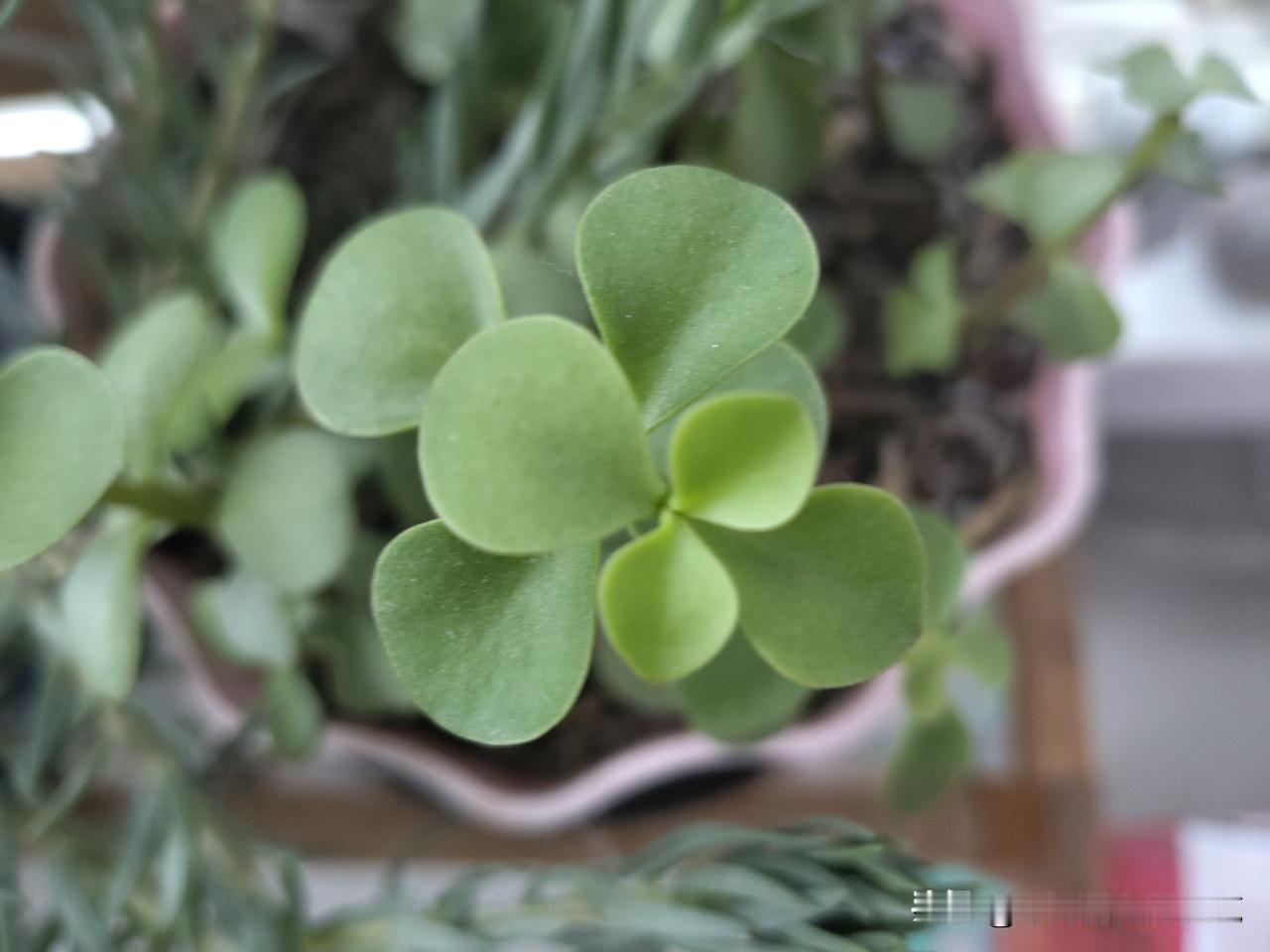 又是崭新的一天
一天好心情