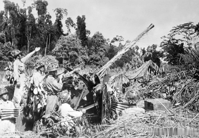 1954年奠边府战役中越军第367高炮团军事历史全触达