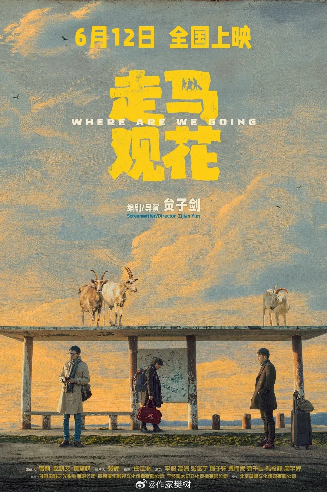电影《走马观花》，不错的文艺片，很有贾樟柯的风格，当然不是模仿，音乐也很棒。走马