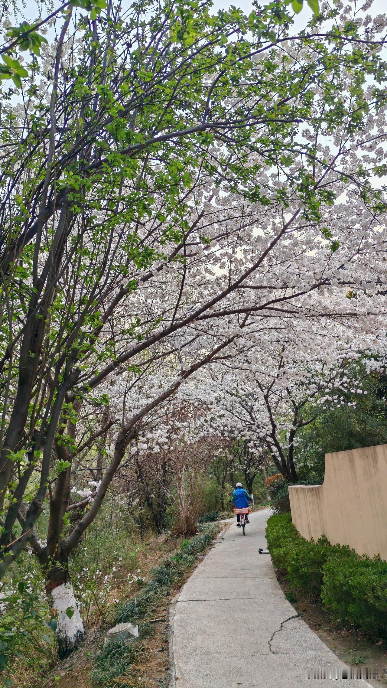 即墨方言里的成语：一家一道，跟“没有外四家”意思差不多

一家一道，是一个常用的