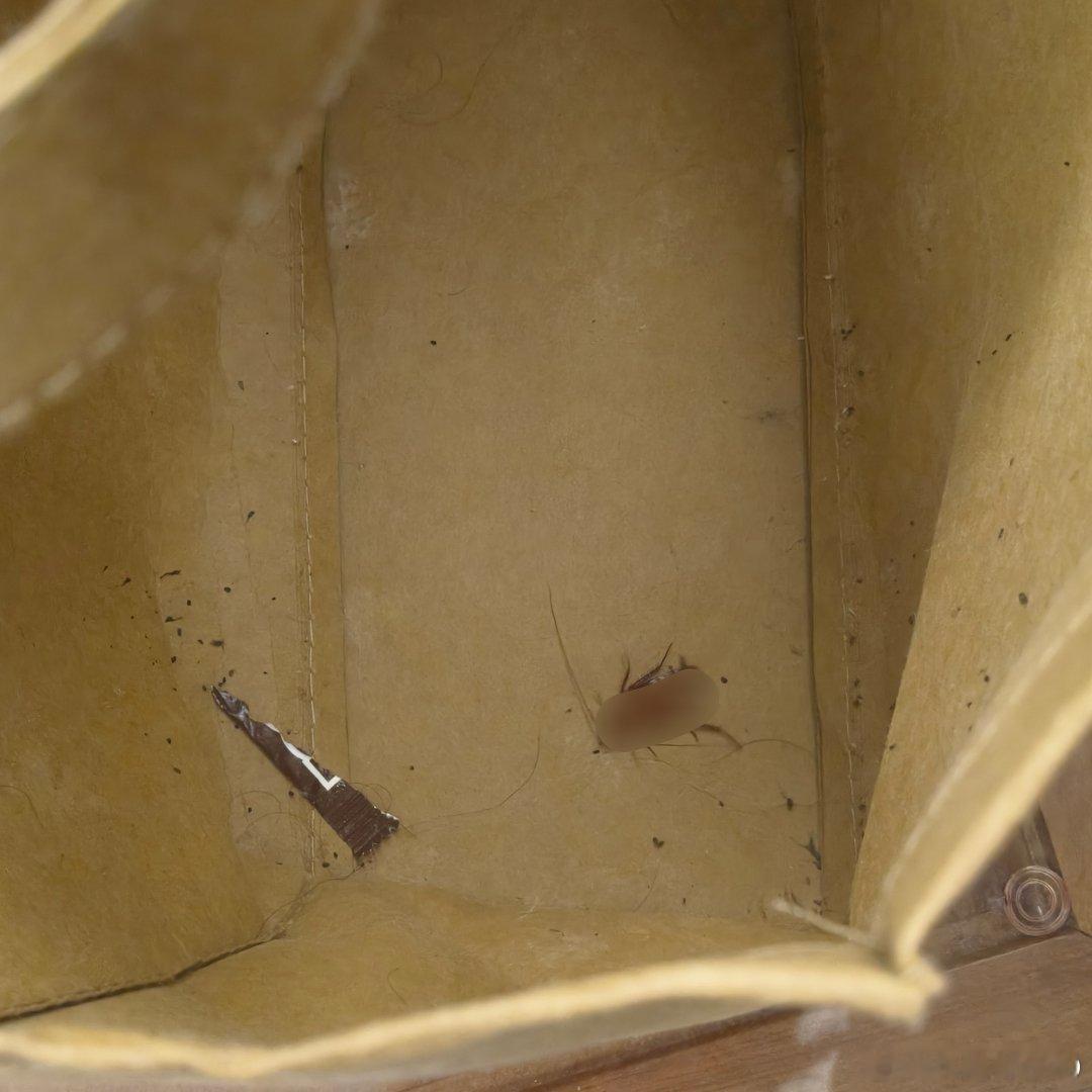 一百年没被这样吓过了 整理一袋过期药倒出来就是一只（活的。）和一堆疑似它的。我真