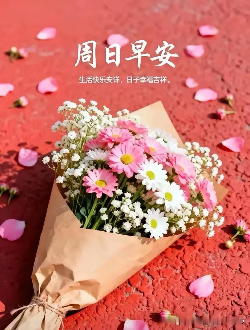 有人说浪漫需要鲜花、需要仪式感、需要轰轰烈烈。
 
其实真正的浪漫，从来都不在盛
