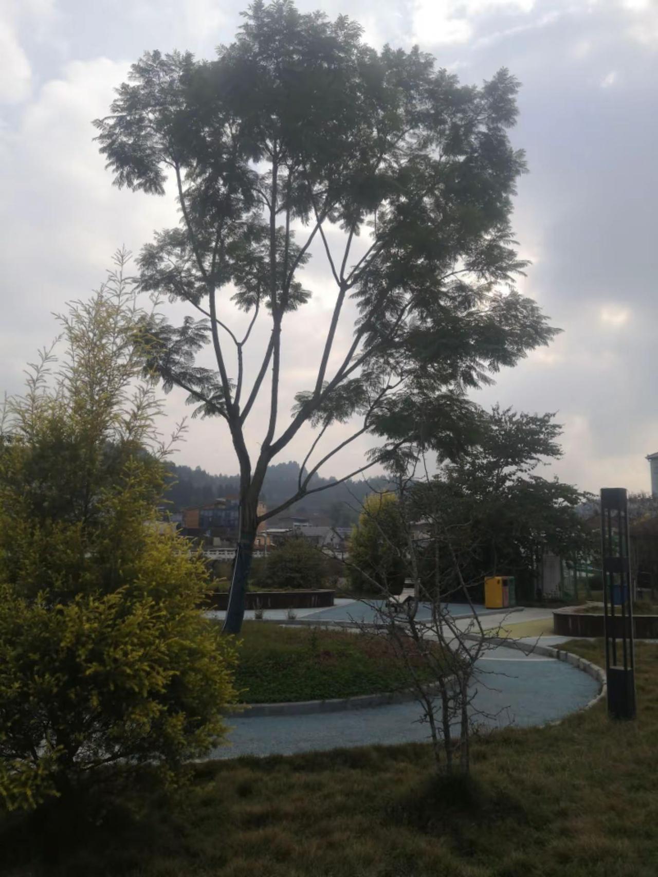 美丽乡镇自然风景区 大自然的美丽风景 自然风景欣赏 晚霞美景