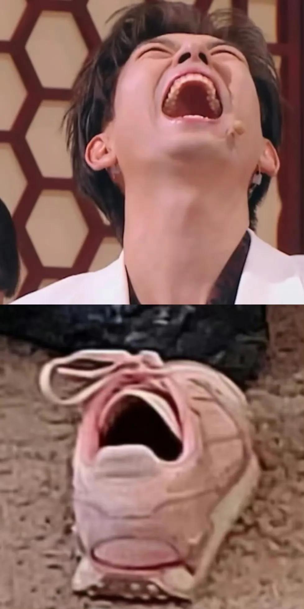 看到李现笑的这张照片，真的笑死我了，怎么会有人联想到一只鞋！

李现给人的感觉一