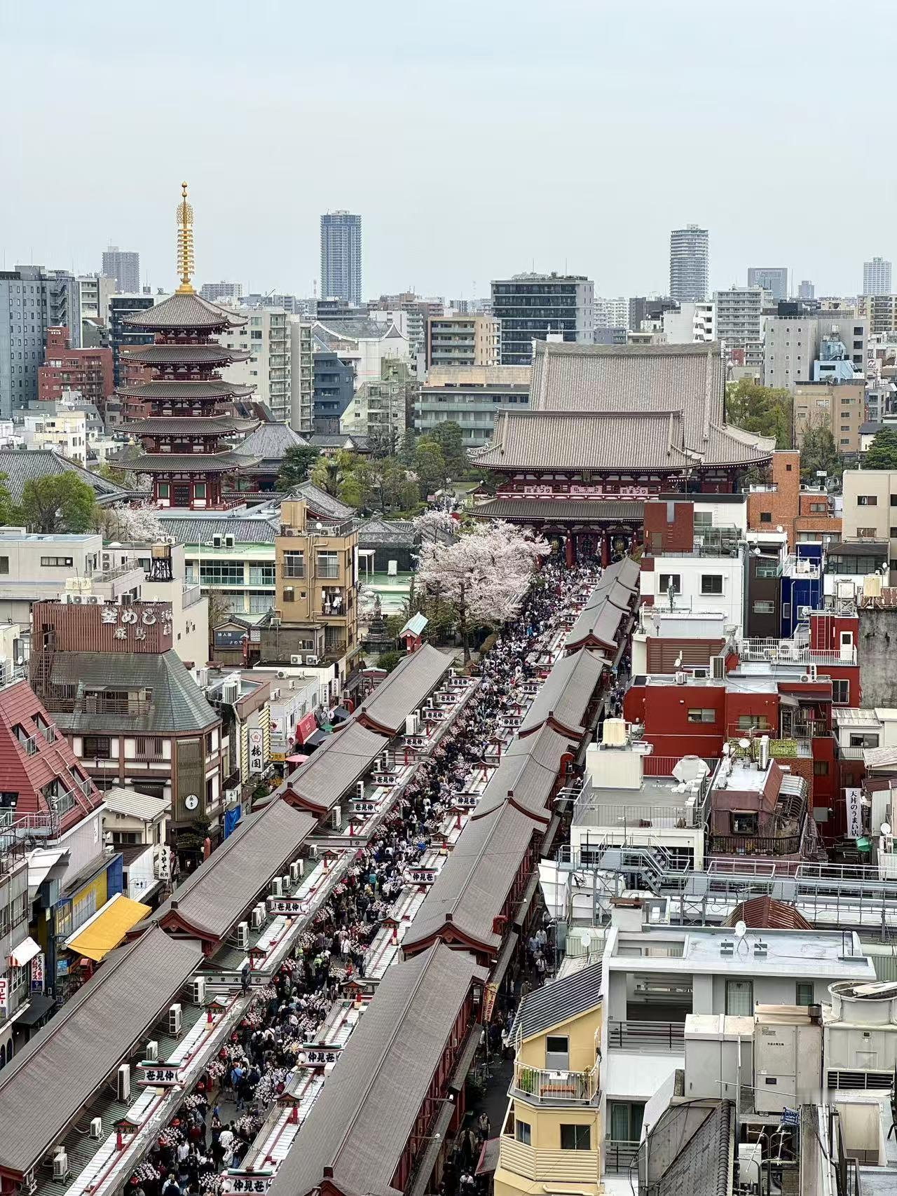 遥看女儿东京行，樱花塔影皆是暖 260405

躺在病床上，看着女儿发来的照片，