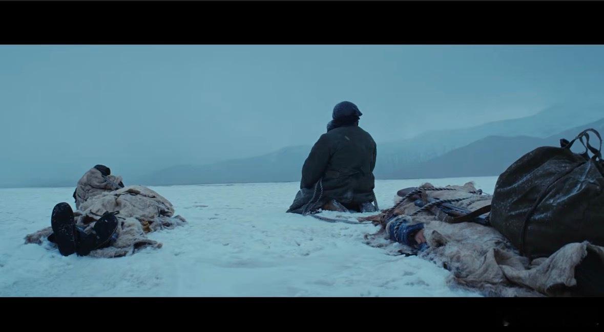 杨紫胡歌新剧重生之末世求生 《生命树》把绝境里的人性拍得太好🌿✨！白菊与多杰没