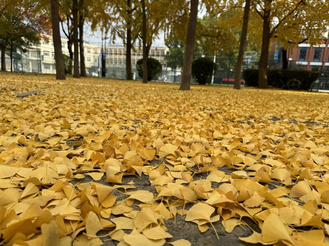 很多人眼中，中医可能是一种“玄之又玄”的存在，不知道怎么治疗，人却“糊里糊涂”地