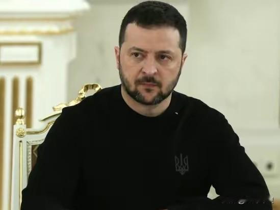 泽连斯基：这就是乌克兰最大的“妥协”！

乌克兰总统泽连斯基2月20日表示，美国