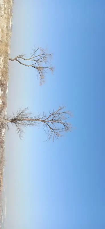 人生有两大苦，一是得不到，二是已失去。
就说得不到吧，很多人拼尽全力想得到一份好