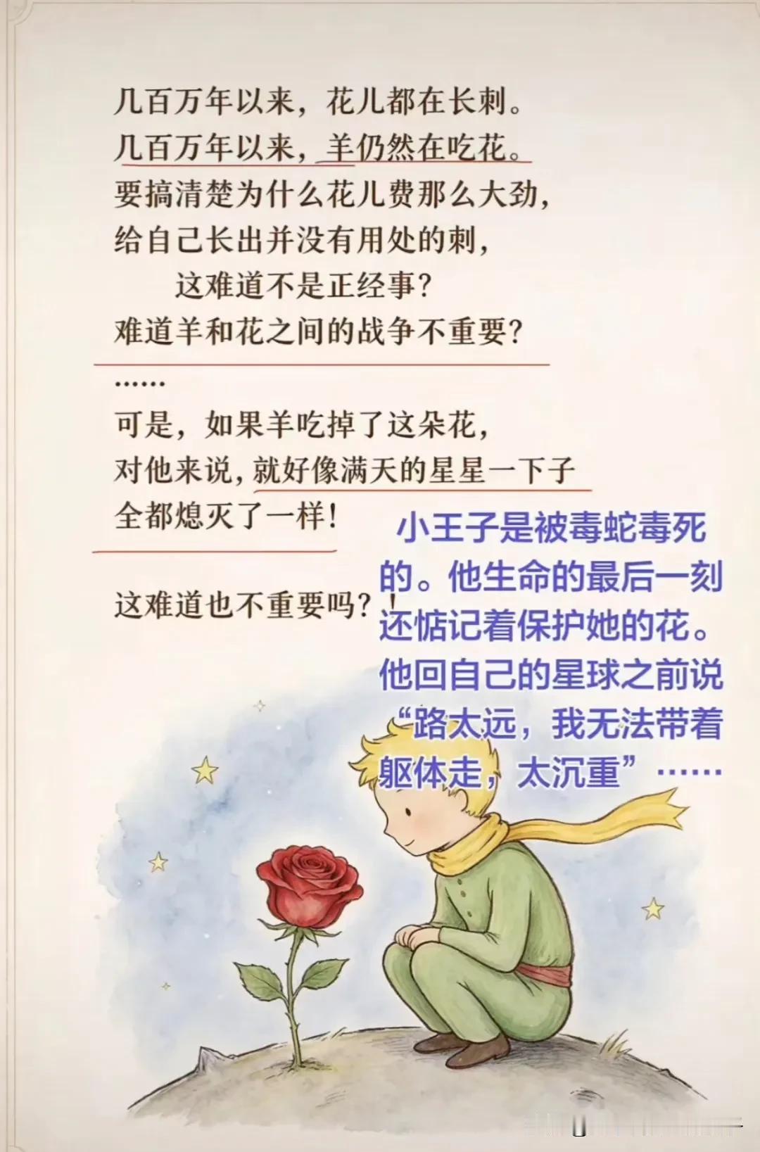 三毛为什么要指定《红楼梦》与《小王子》为其陪葬品
“不要问我从哪里来
我的故乡在
