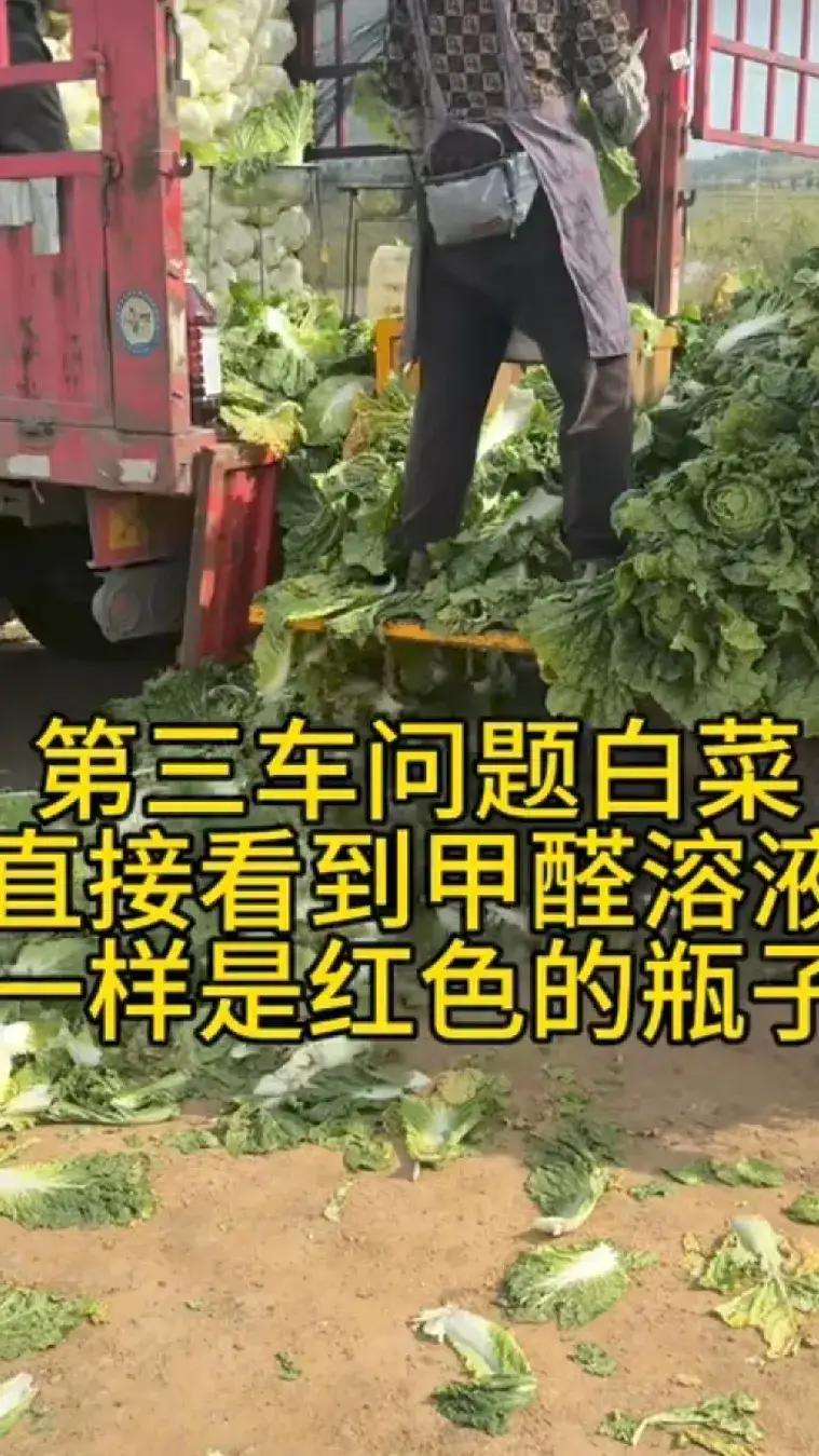 河北张家口为保鲜白菜蘸甲醛，官方：涉事人员已扣押。

8月22号，博主渔猎齐哥发